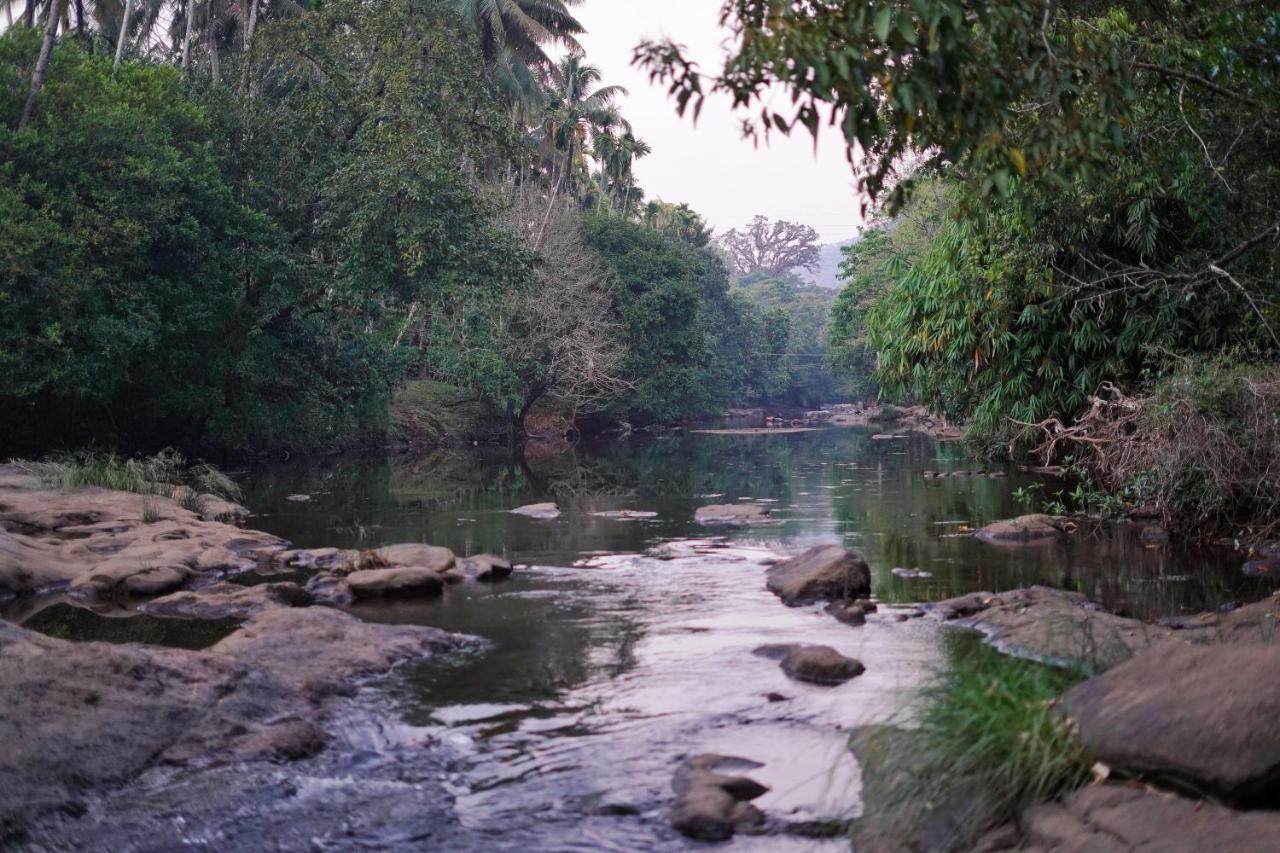 Hôtel Athirapilly On The Rocks à Athirappilly Extérieur photo